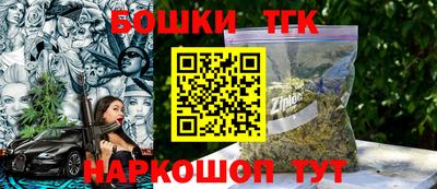 гашик Камышлов