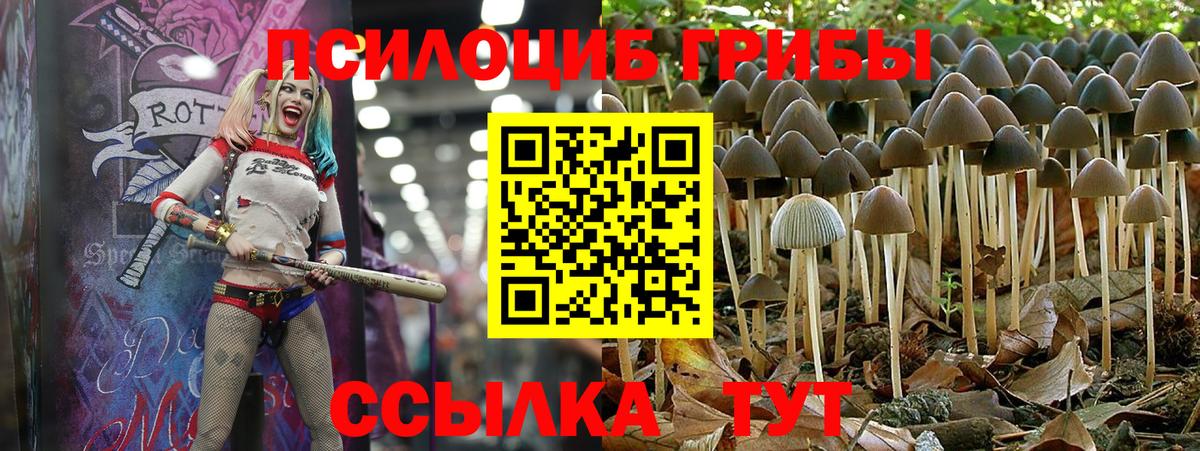 МЕФ   Гашиш  COCAIN  Вход с VPN  Курчалой  Марихуана 