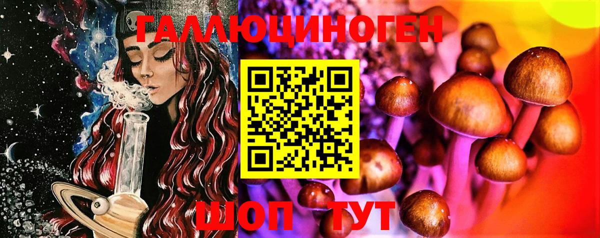 Курчалой  Псилоцибиновые грибы мухоморы  Псилоцибиновые грибы мухоморы  Вход с VPN 